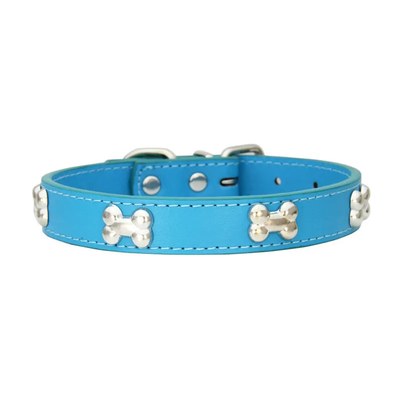 A bright blue leather dog collar with silver hardware.
