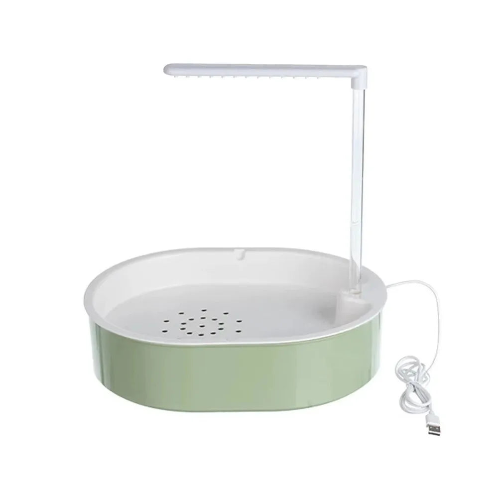 Automatic Circulating Bird Bath with Perch