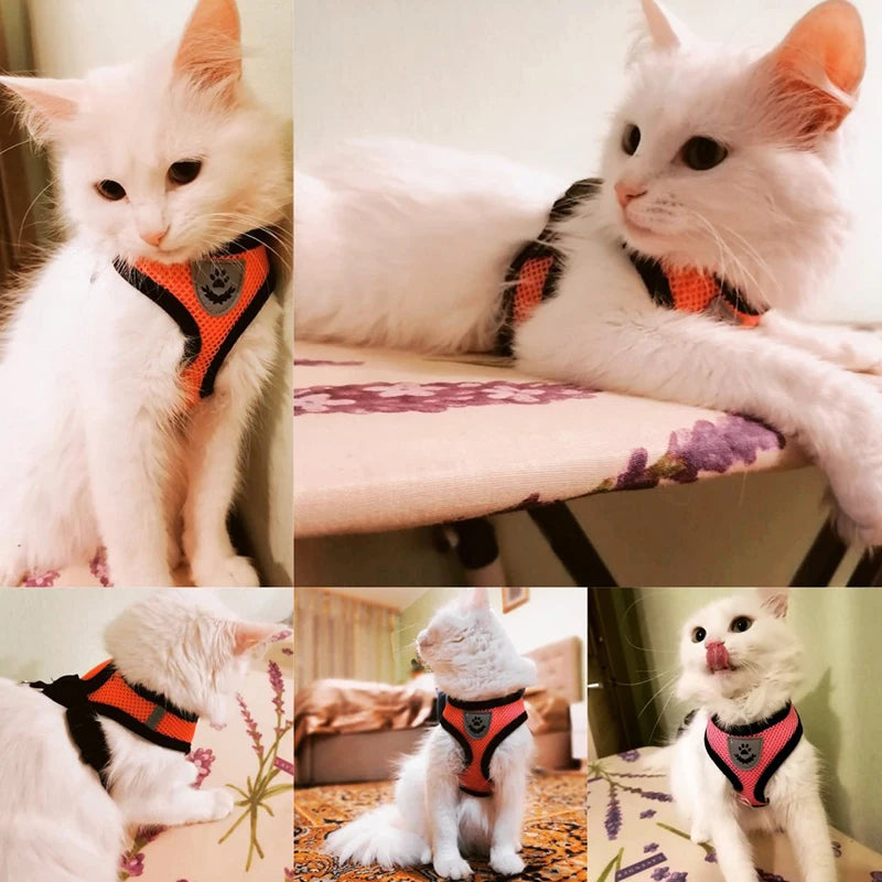 Adjustable Breathable Mesh Dog & Cat Harness with Leash