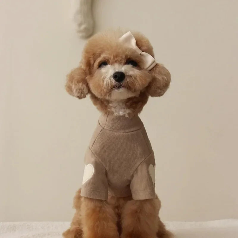 Un perro de pelaje marrón claro vistiendo una sudadera beige acogedora con detalles de corazón.
