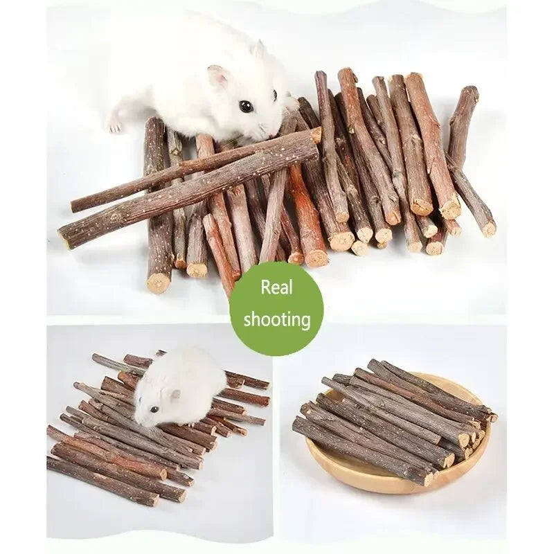 Bâtons de Mâche en Bois de Pommier Naturel pour Petits Animaux