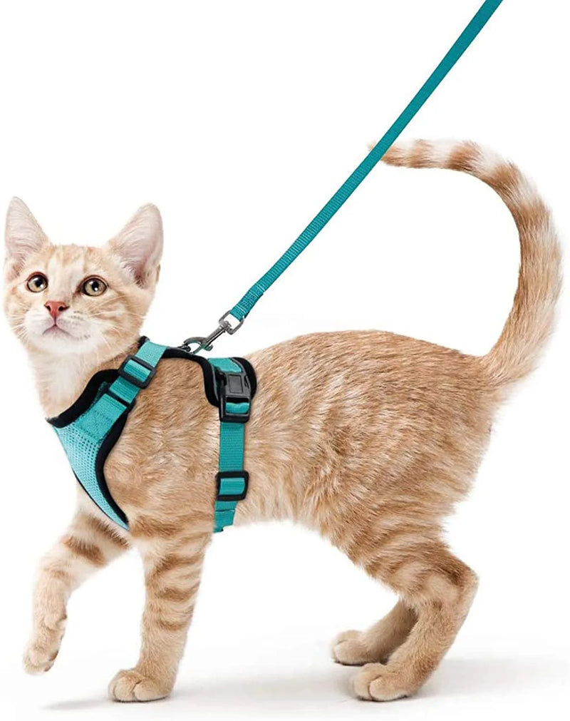 Ausbruchssicherer Katzen-Geschirr mit Leine