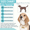 Size chart and example showing how to measure for a dog collar