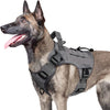 Taktisches Anti-Zerr-Hundegeschirr mit Kontrollgriff