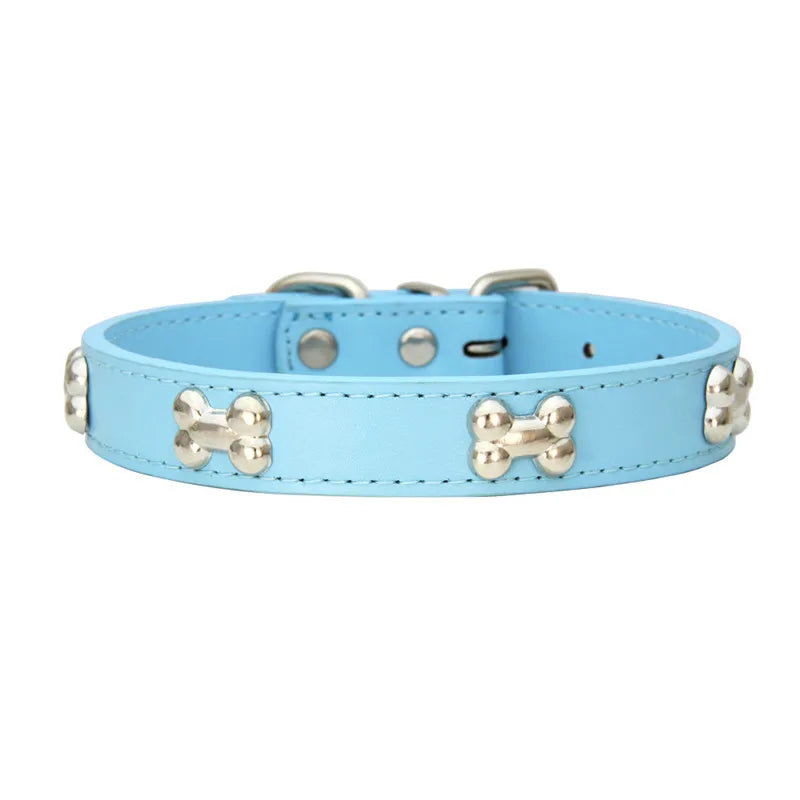 Light blue leather dog collar with silver hardware and a buckle.