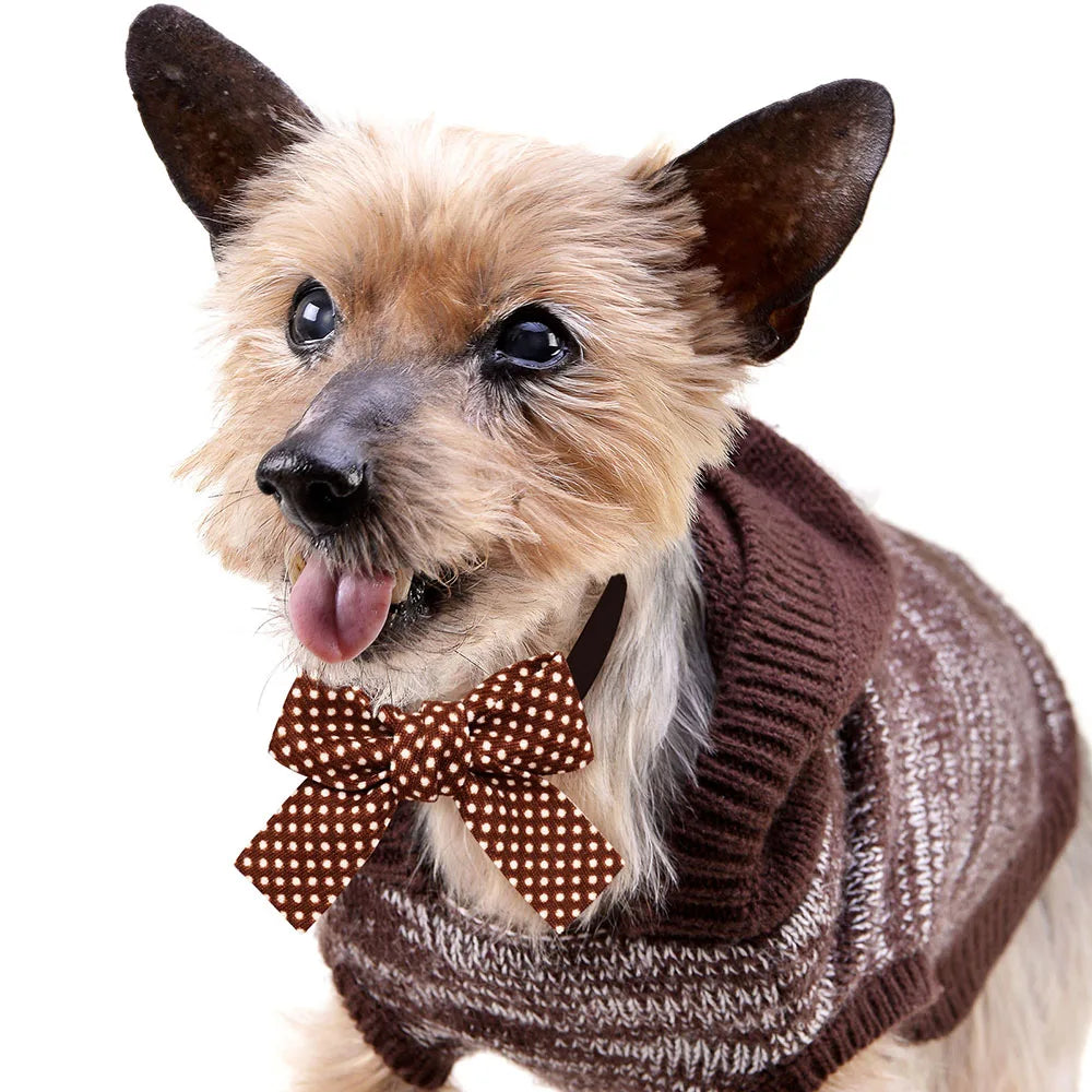 A small, light brown dog wearing a brown knitted pet bow tie with a plaid and dot pattern.