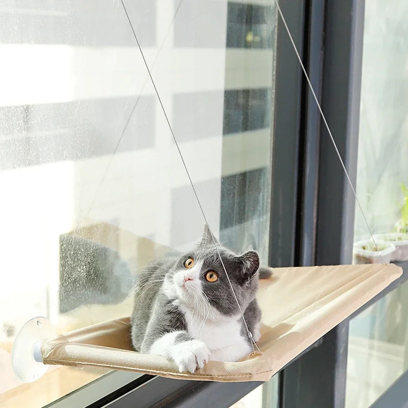Hamac Lit pour Chat à Poser sur la Fenêtre