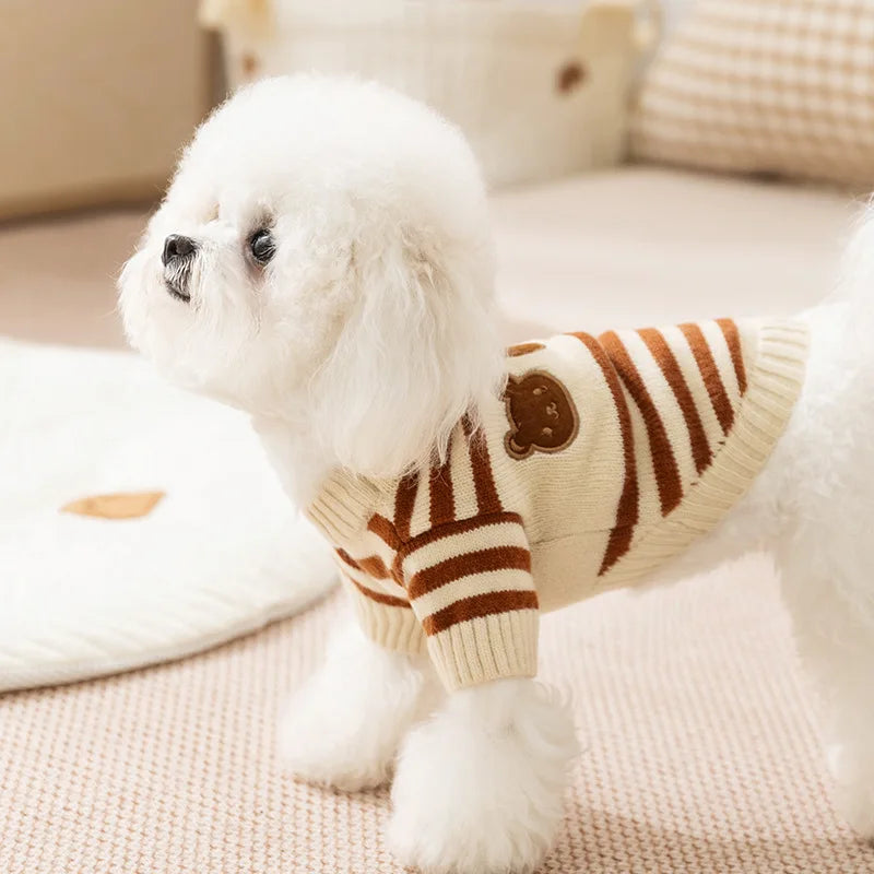 A fluffy white dog wearing a striped brown and cream cardigan sweater.