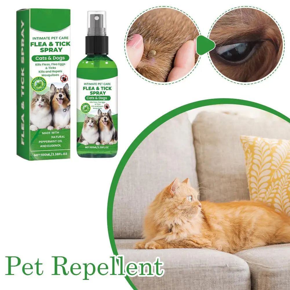 A green spray bottle of intimate pet care flea and tick spray for cats and dogs with close-ups of a cat's fur and eye
