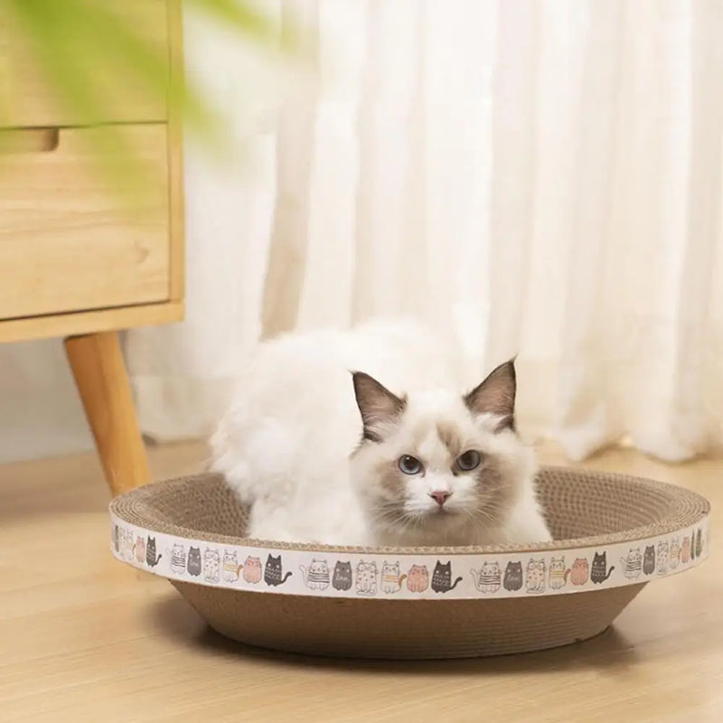 Grattoir pour chat en carton ondulé rond