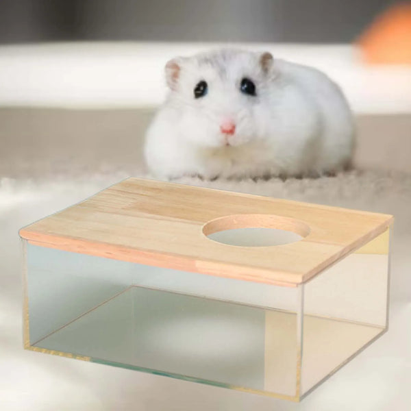 Bac à sable en acrylique transparent pour hamster