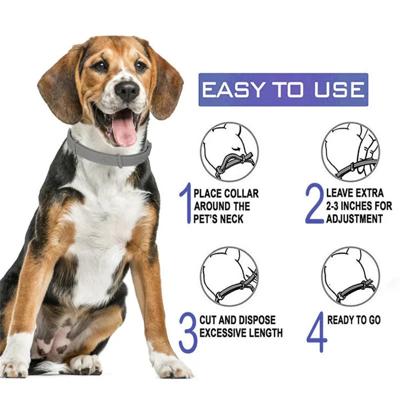 A brown and white dog is shown next to instructions for using an adjustable silicone pet collar.