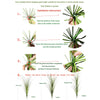 Artificial Reed Grass Bouquet – 50cm Tropical Faux Plant