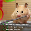 Palos de Morder de Ramas de Manzana Natural para Mascotas Pequeñas