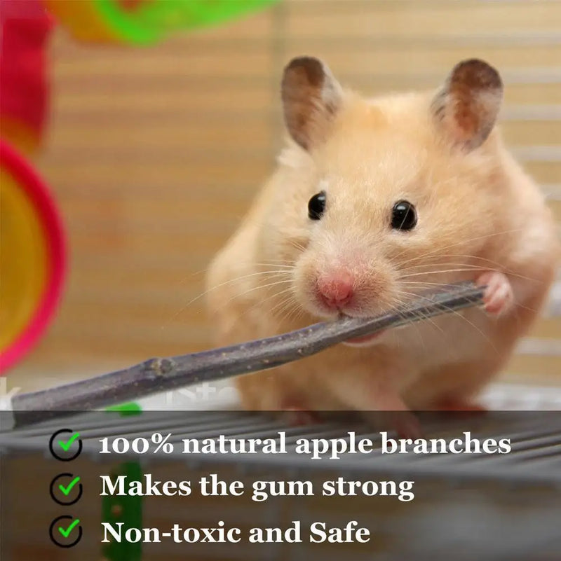 Palos de Morder de Ramas de Manzana Natural para Mascotas Pequeñas