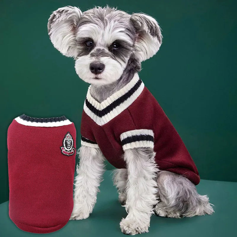 Classic V-Neck Knit Dog Sweater for Fall & Winter