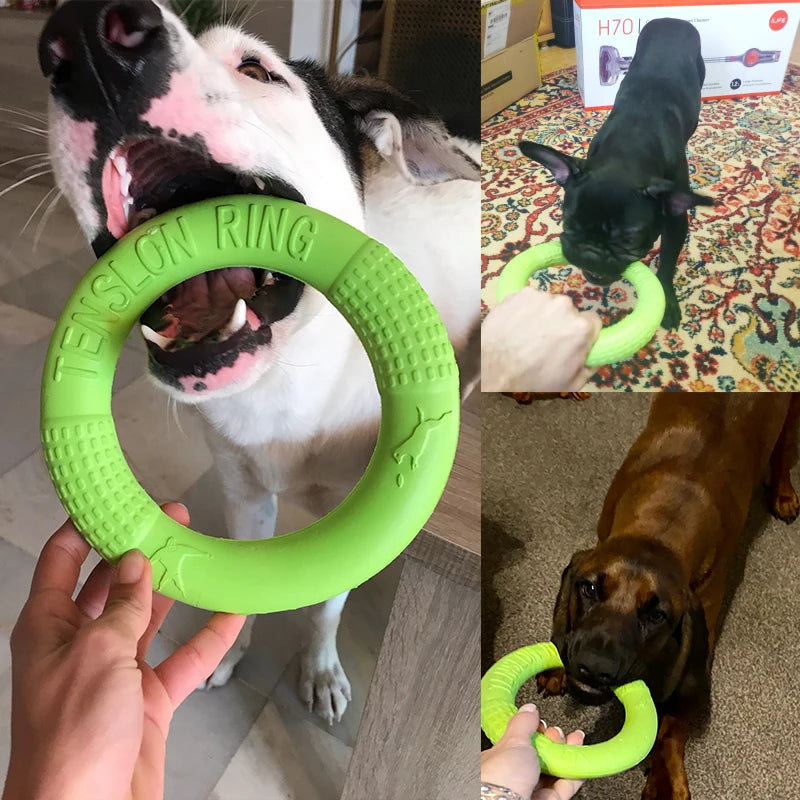 Anneau d'entraînement et disque volant en caoutchouc durable pour chien