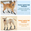 Anti-Slip Knitted Dog Socks with Adjustable Straps (4-Pack)
