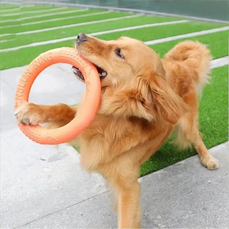 Schwimmender EVA-Hundewurfring