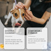 A person gently cleans the ear of a dog with natural pet ear cleaning drops.