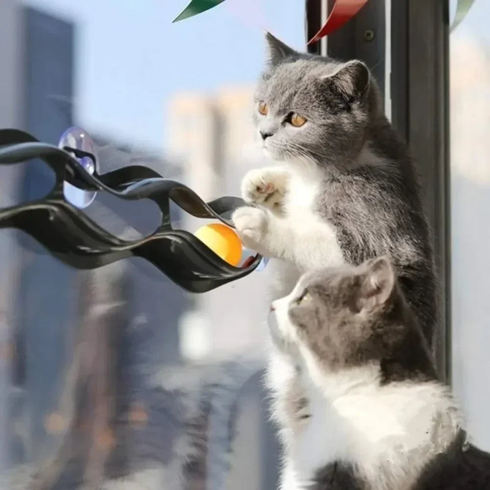 Un chat gris et blanc interagit avec un jouet de piste incurvée noire doté de ventouses.