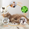 Edible Catnip Wall Balls for Dental Care and Play