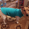 Warm Winter Vest for Small Dogs and Cats
