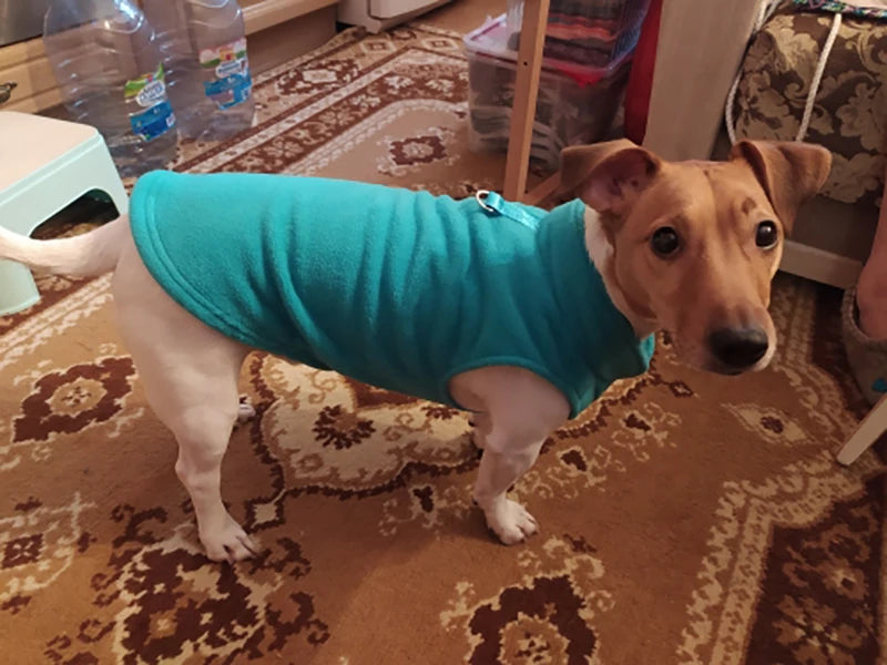 Warm Winter Vest for Small Dogs and Cats