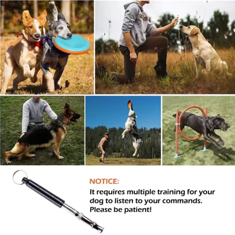 Ultrasonic Dog Whistle Training Tool