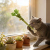 Interactive Catnip Chew Toy for Dental Health & Play