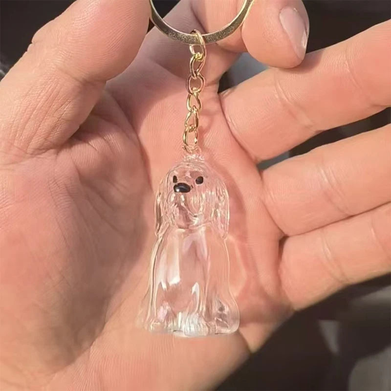 Transparent Pet Hair Keepsake Charm for Keys