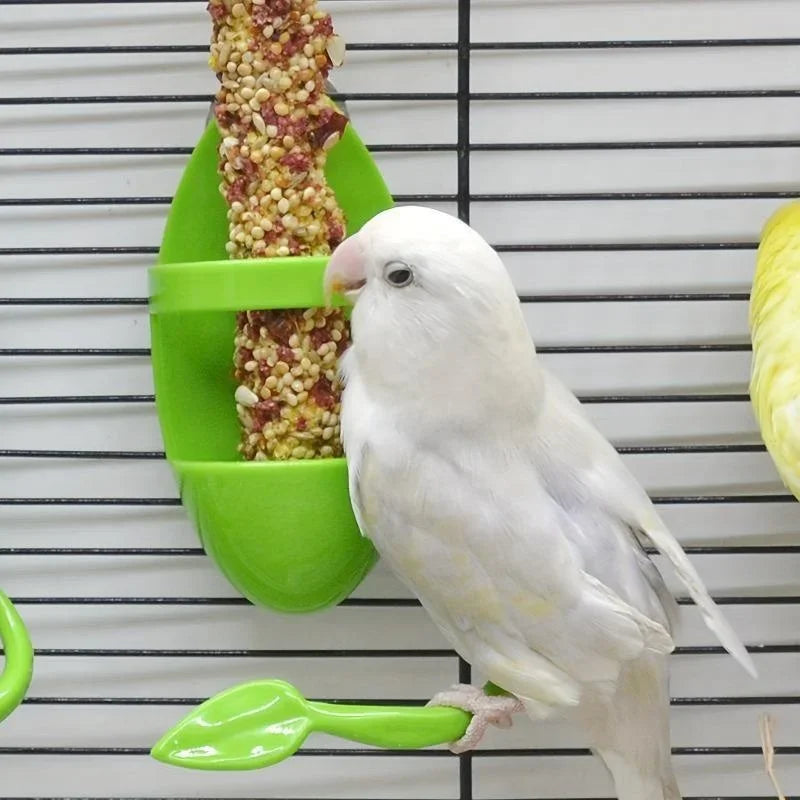 ببغاء أبيض يتغذى من عظمة قشري خضراء على شبكة سلكية.