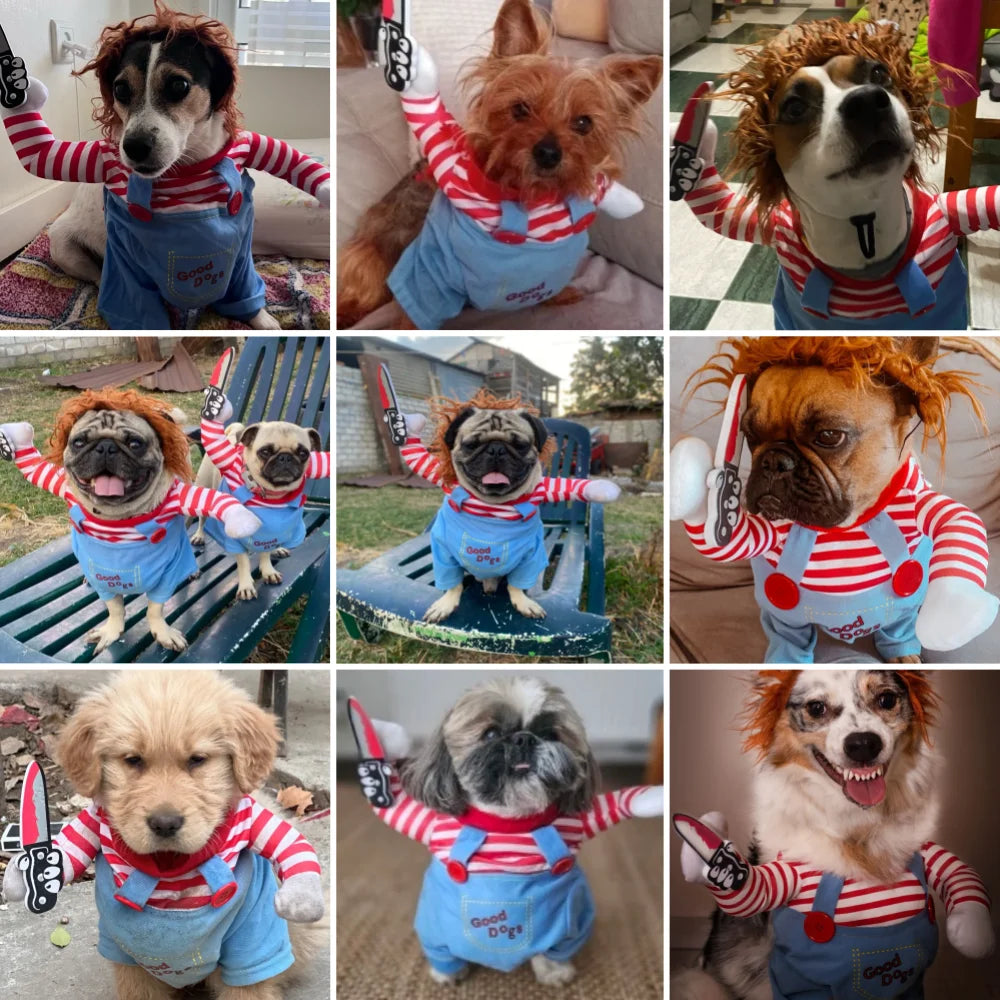 A collection of dogs and cats wearing funny Halloween pet pullovers with striped sleeves and denim overalls.