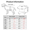 Classic Denim Dog Jacket with Harness and Leash Ring