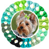 A circular arrangement of 30 colorful handmade dog bow knots for pet hair, featuring shades of green and blue.