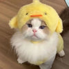 Adorable Knit Bear Hat for Cats and Dogs