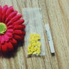 Colorful Soft Silicone Nail Caps for Cats and Dogs with Adhesive