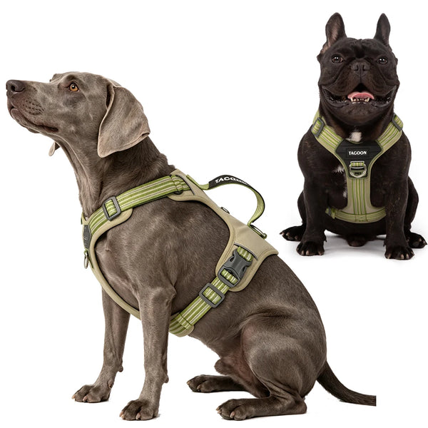 A dark gray dog wearing a green no-pull harness with a handle, shown in a side profile.