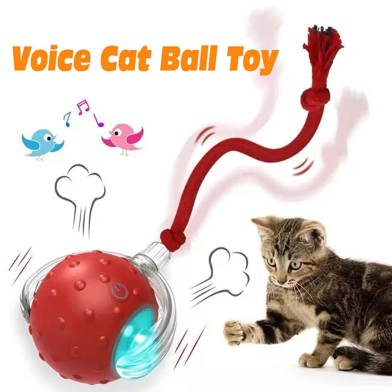 Interactive Rolling Cat Toy Ball with Smart Obstacle Avoidance