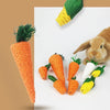 Natural Corn Husk Chew Toys for Small Pets – Carrot, Radish & Woven Ball Set