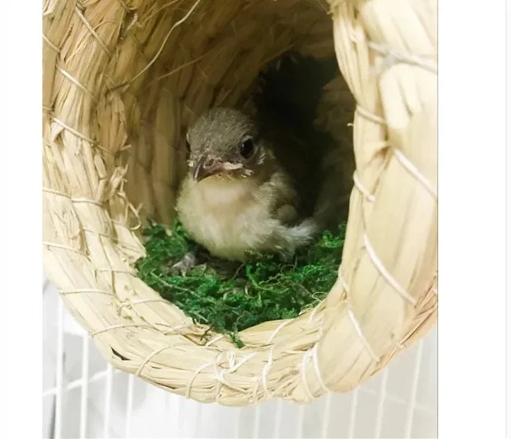 A handwoven straw bird nest containing a small, fluffy brown bird.