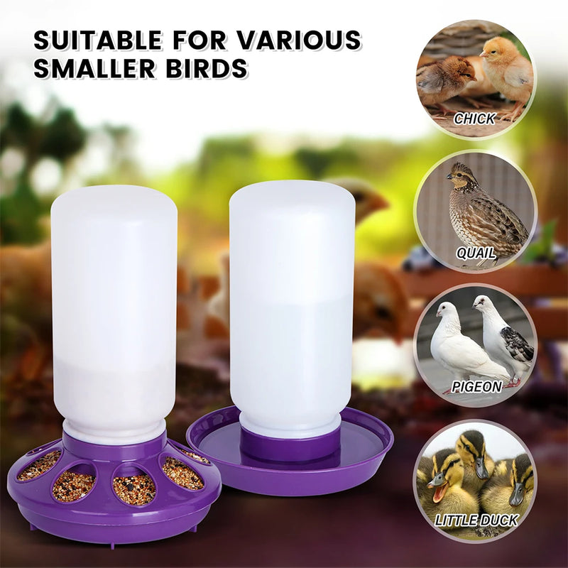 1L Chicken Feeder Bucket Waterer Automatic Drinker