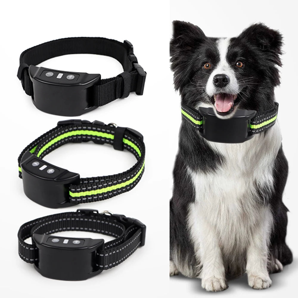 A black automatic anti-bark training device is shown next to a dog wearing the collar.
