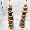 Natural Wood Chew Sticks for Small Pets