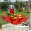 2-in-1 Hummingbird Feeder with Suction Cup & Hanging Design