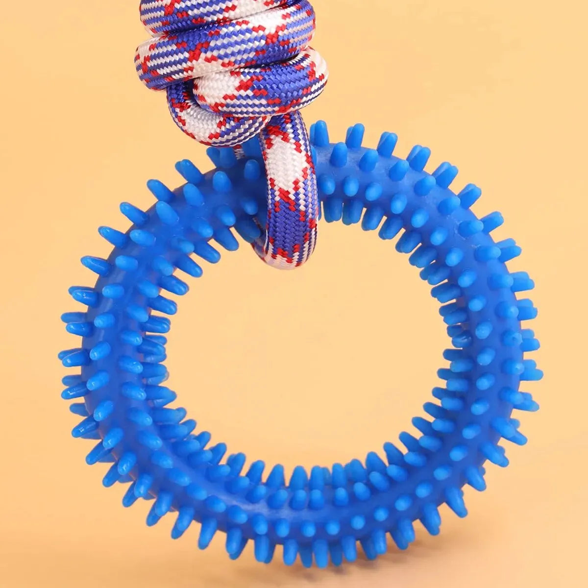 Blue interactive dental chew ring for dogs with a braided red and white rope