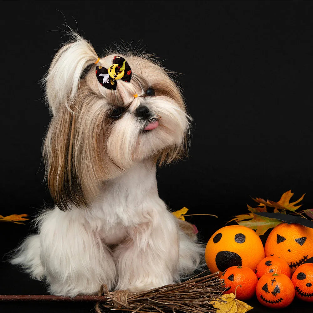 Halloween Pumpkin Print Dog Hair Bows with Rubber Bands