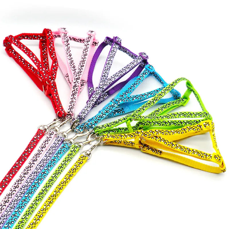 A collection of colorful adjustable dog harnesses and leashes displayed on a white background.