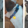Personalized Pet ID Tag for Collar - Engraved Heart Tag