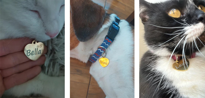 Personalized Pet ID Tag for Collar - Engraved Heart Tag